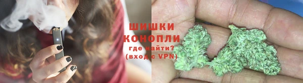бошки Алексин