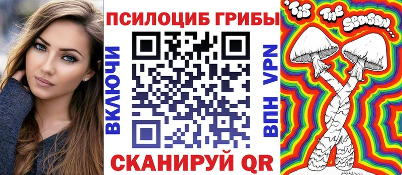 где найти   mega как войти  Псилоцибиновые грибы прущие грибы  Олонец 